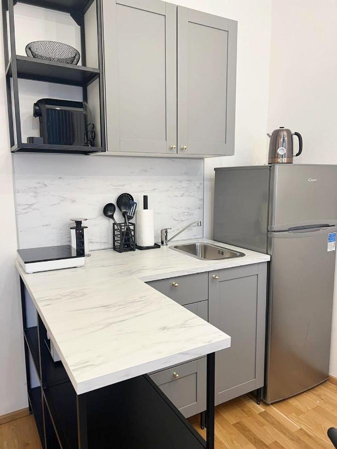 Tyrsova Design Apartament *